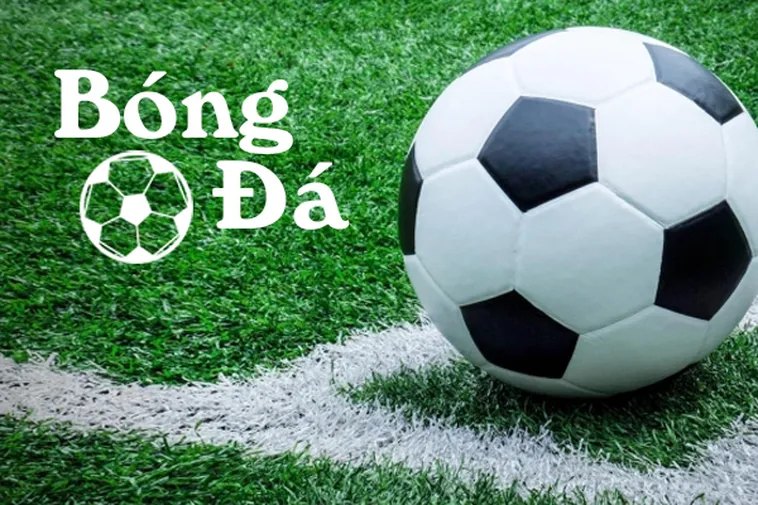 Bóng Trong Cuộc Và Bóng Ngoài Cuộc Là Gì Và Cách Phân Biệt Hiệu Quả
