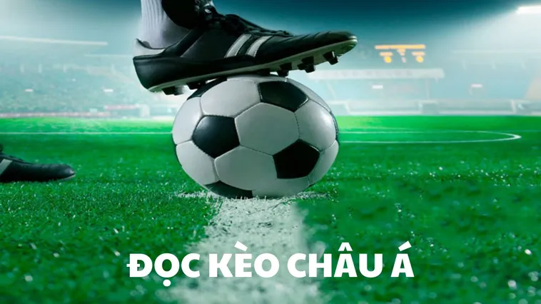 Thống Trị Cách Chơi Kèo Châu Á Tại 7M Đỉnh Cao Nhận Ngay Quà Khủng