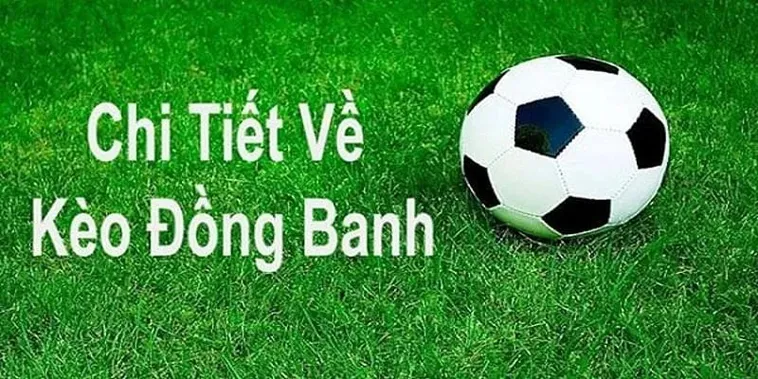Chiến Thuật Cách Chơi Kèo Đồng Banh Tại 7M Hiệu Quả Nhất Cho Người Mới