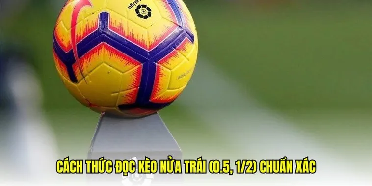 Chiến Thắng Dễ Dàng Kèo Chấp 0.5 Bóng Đá Tại 7M