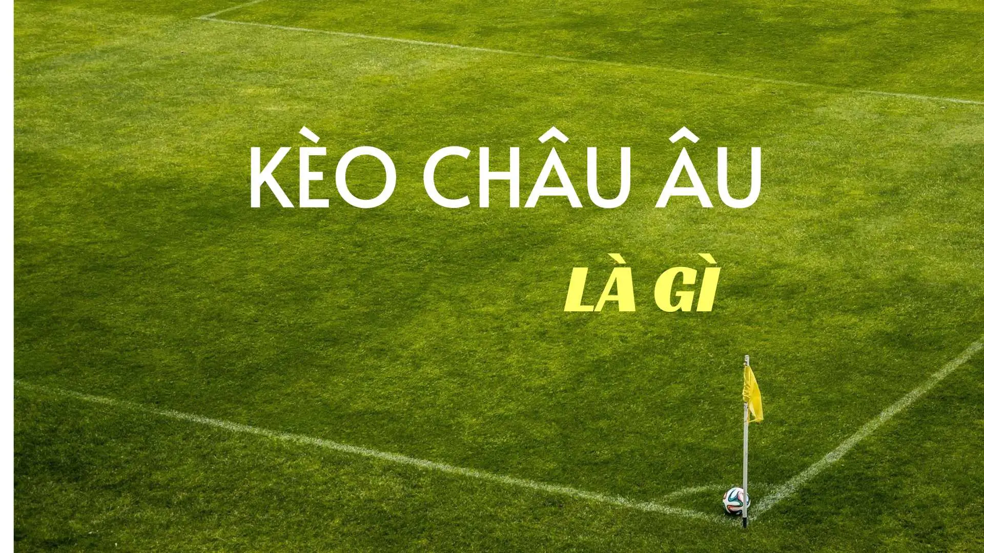 Bật Mí Cách Chơi Kèo Châu Âu Tại 7M Siêu Chuẩn Giúp Bạn Làm Giàu