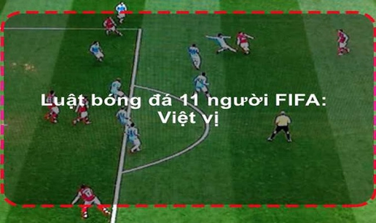 Tiêu Chuẩn Luật Sân Bóng Đá Thi Đấu Mới Nhất Hiện Nay