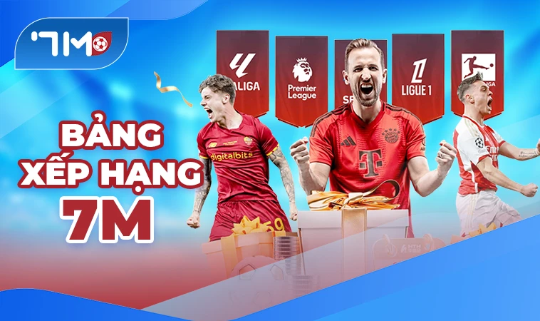 Khám Phá 7M - Nền Tảng Dữ Liệu Bóng Đá Hàng Đầu Cho Dân Chơi Chuyên Nghiệp